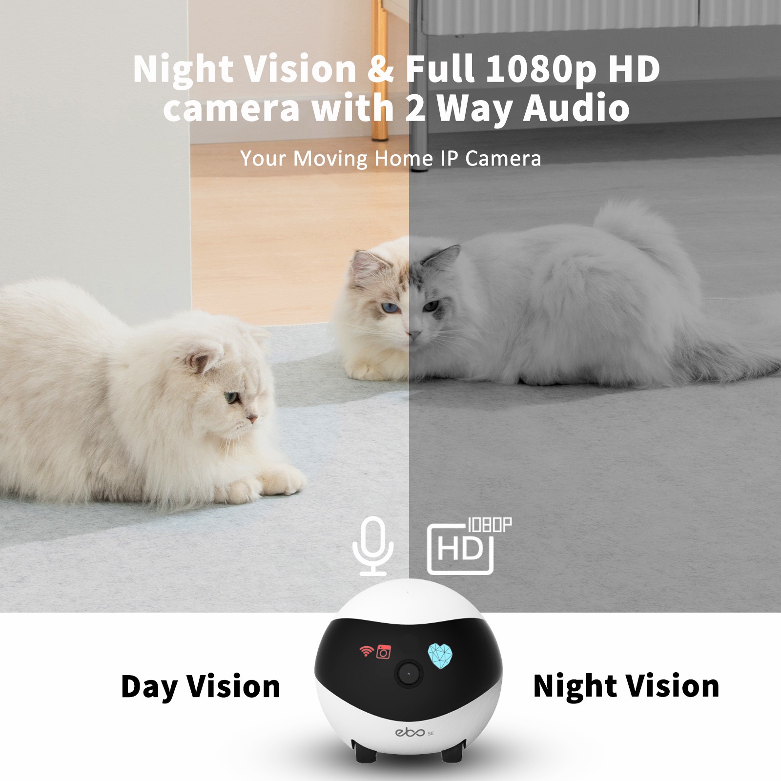 EBO SE 스마트 홈 로봇 동반자 보안 카메라 108 - Home Security Robots 리뷰 및 가격