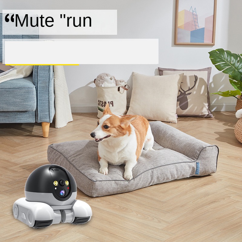 새로운 1080P HD WIFI 카메라 PTZ IP 보 - Home Security Robots 리뷰 및 가격