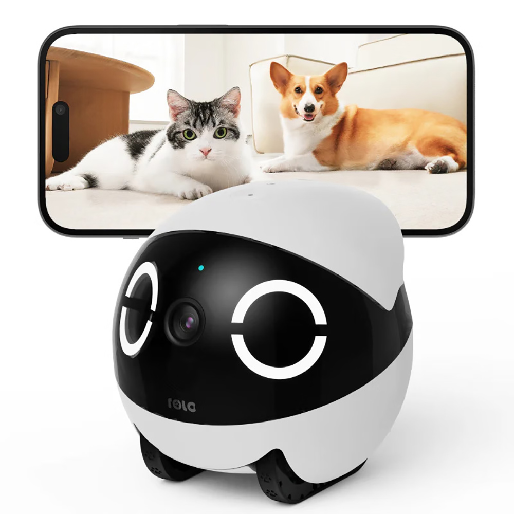 홈 시큐리티 애완동물 텀블러 디자인 실시간 제어 미니  - Home Security Robots 리뷰 및 가격