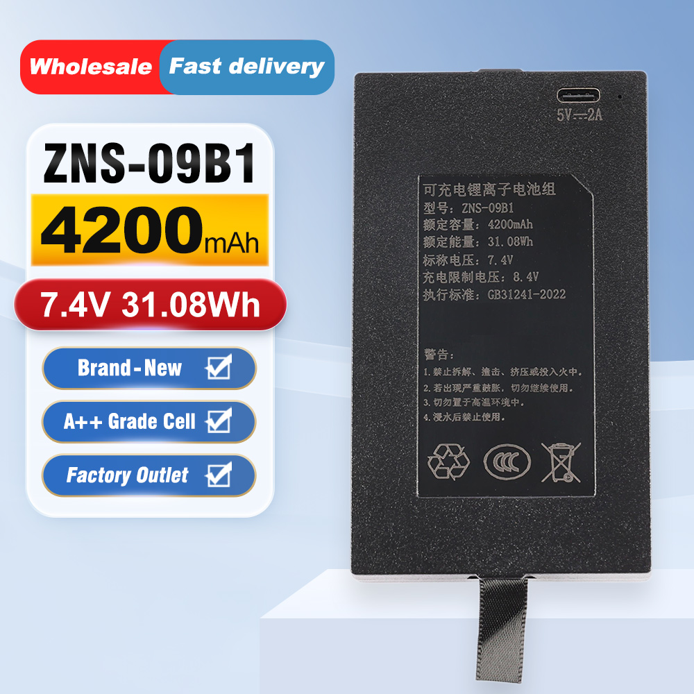 ZNS-09B1 4200mAh C+C- P-P+ 스마트 - Home Security Battery Replacement 리뷰 및 가격